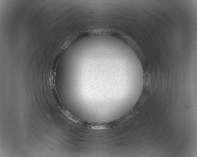 X0000080780669200612151033