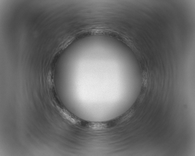 X0000080780670200612151033