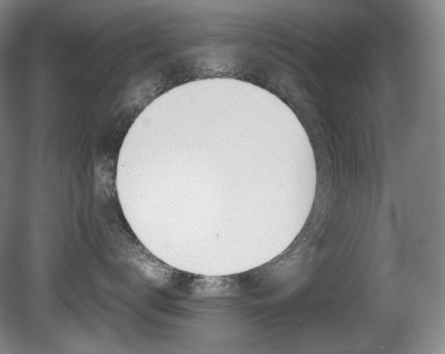 X0000080780672200612151033