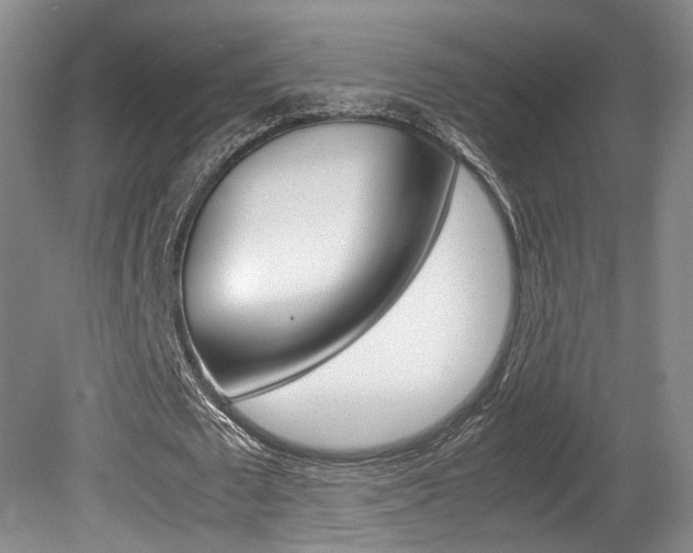 X0000080780673200612151032