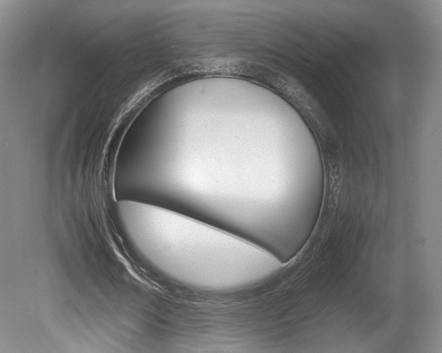 X0000080780674200612151032