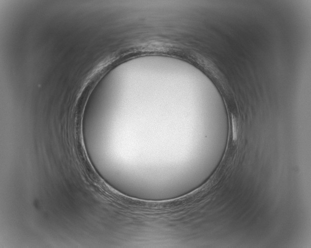 X0000080780675200612151032