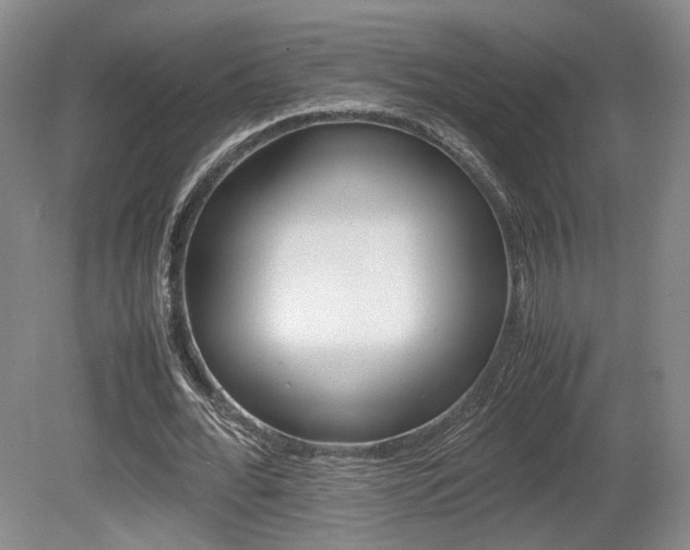 X0000080780676200612151032