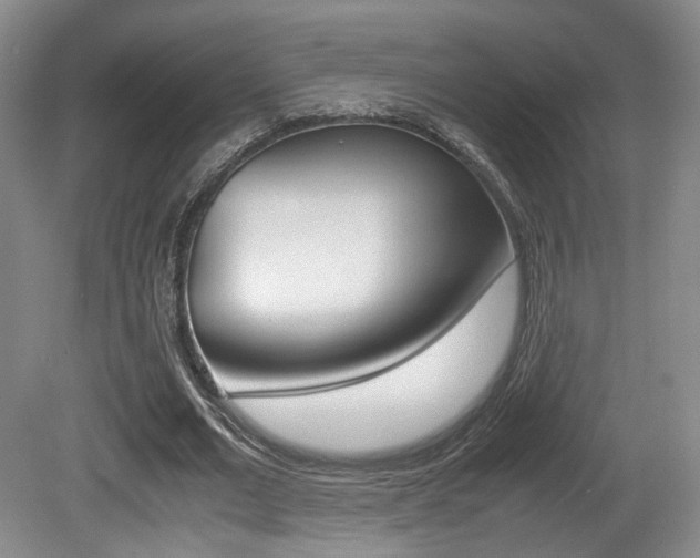 X0000080780677200612151032
