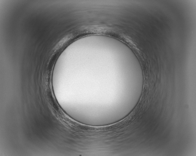 X0000080780679200612151032