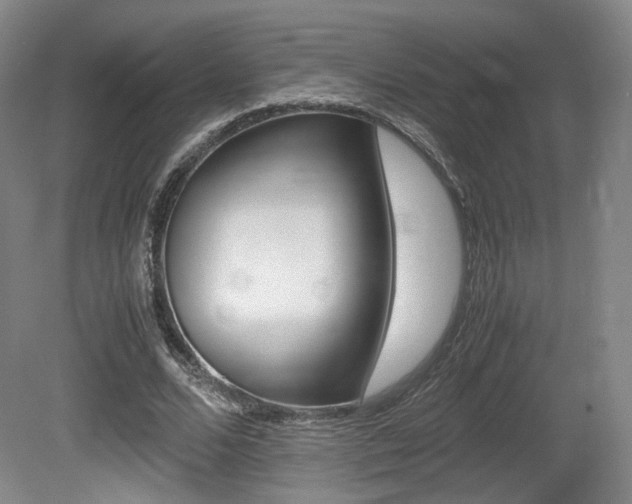 X0000080780680200612151032