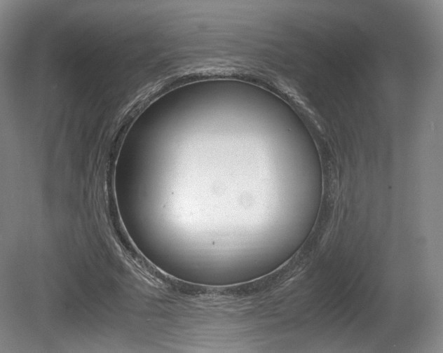 X0000080780681200612151032