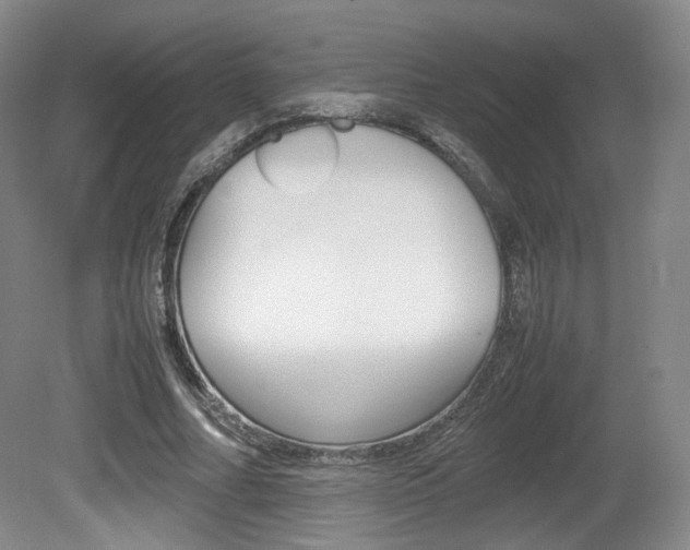 X0000080780682200612151032