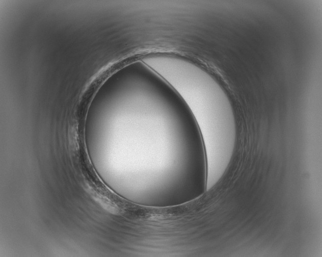 X0000080780684200612151032