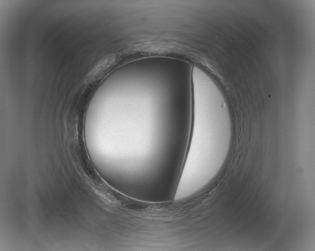 X0000080780685200612151032