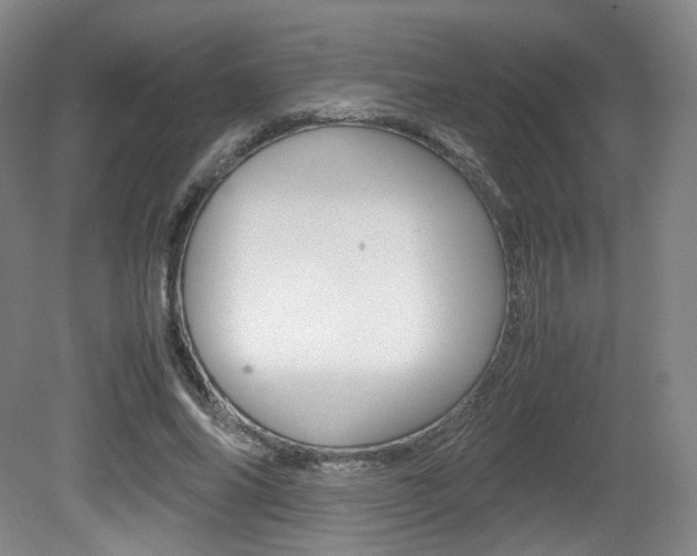X0000080780686200612151032