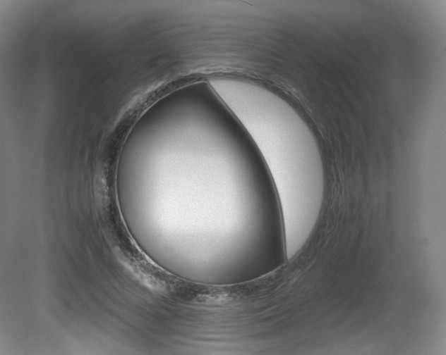 X0000080780688200612151032