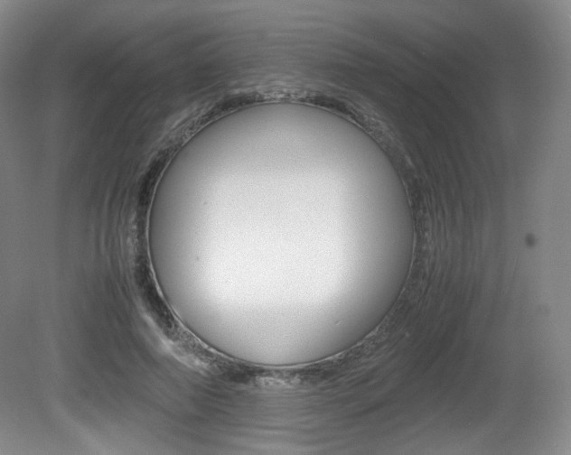 X0000080780690200612151032