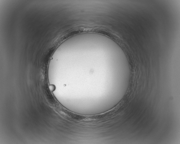 X0000080780691200612151032