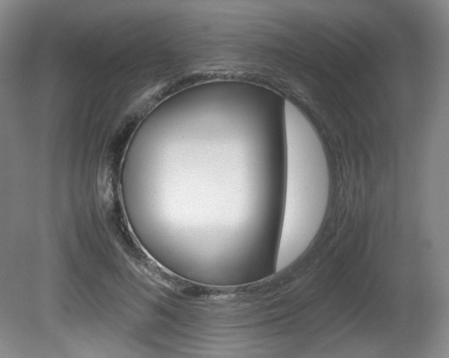 X0000080780692200612151032