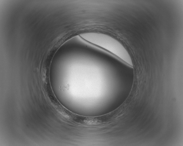 X0000080780693200612151032