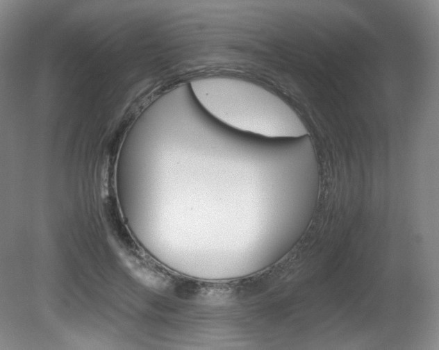 X0000080780694200612151032