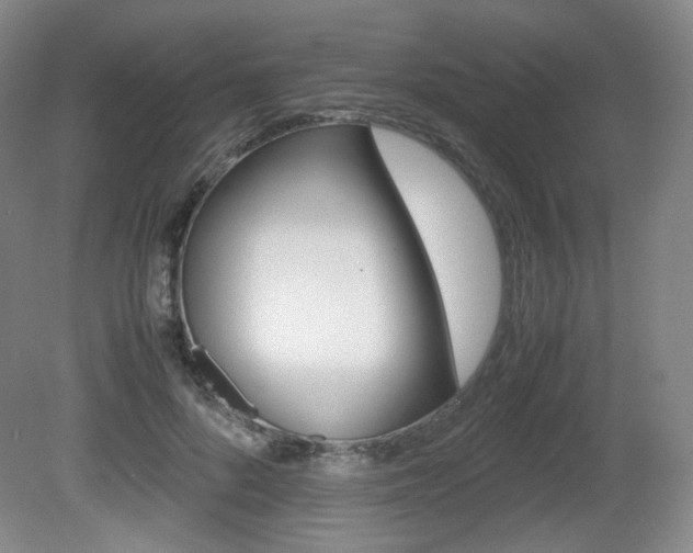 X0000080780696200612151032