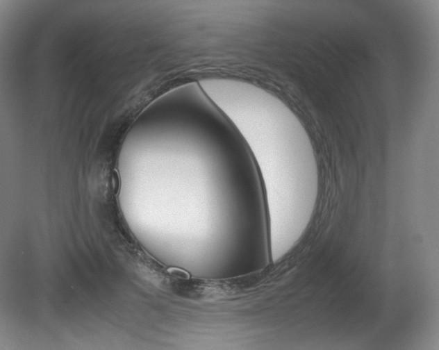 X0000080780697200612151032