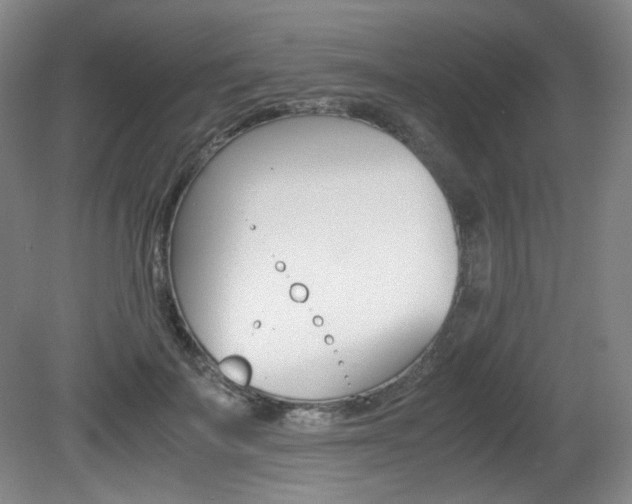 X0000080780699200612151032
