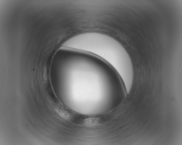 X0000080780700200612151032