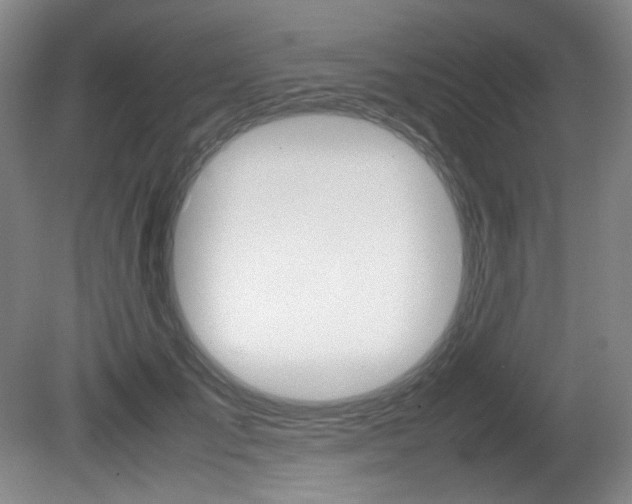 X0000080780701200612151032