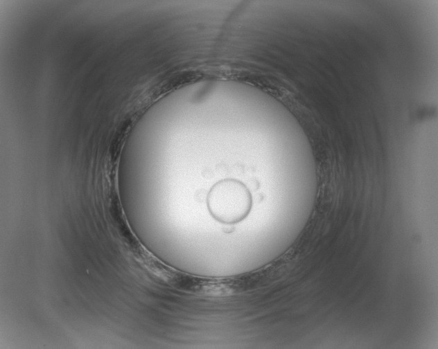 X0000080780702200612151032