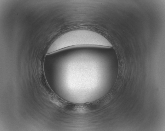 X0000080780704200612151032