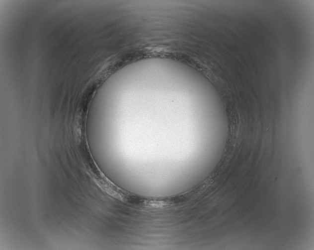 X0000080780710200612151032