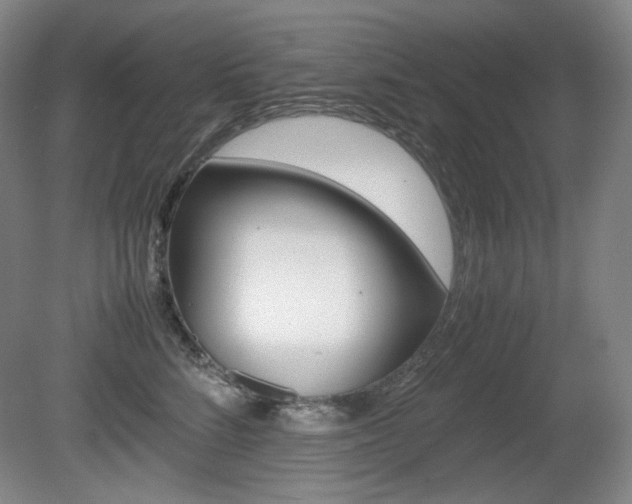 X0000080780712200612151032