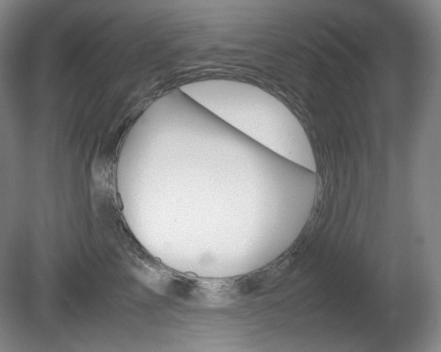 X0000080780713200612151032