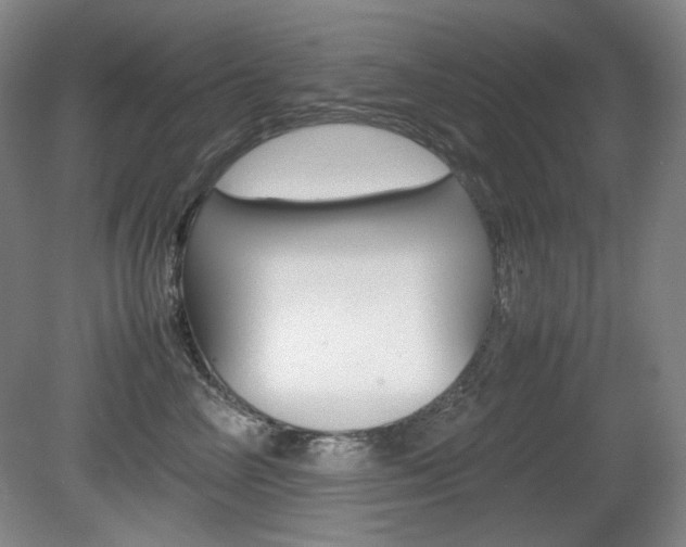 X0000080780714200612151032