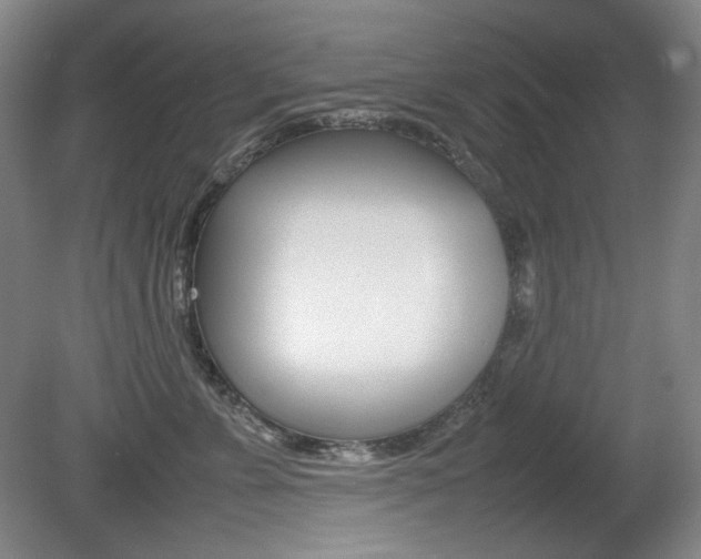 X0000080780715200612151032