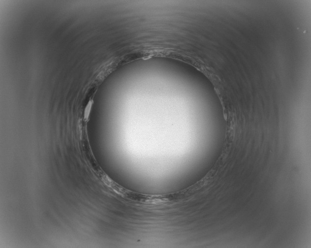 X0000080780716200612151032