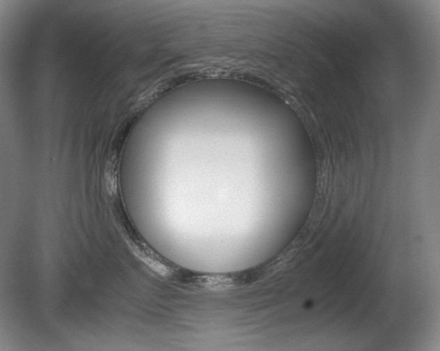 X0000080780719200612151032