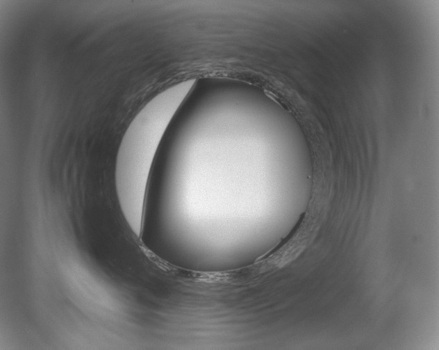 X0000080780720200612151032