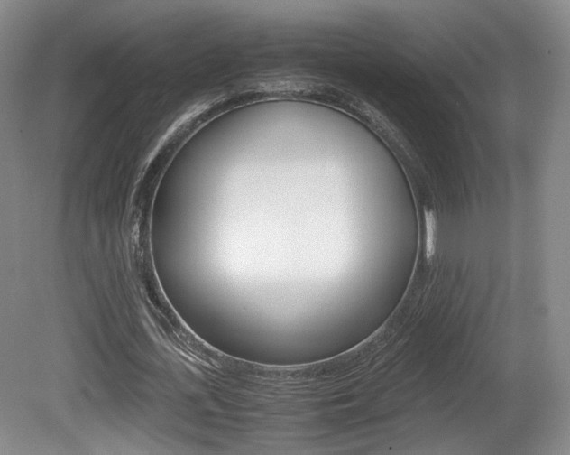 X0000080780723200612151031