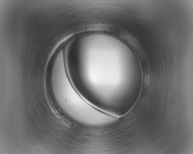 X0000080780724200612151031