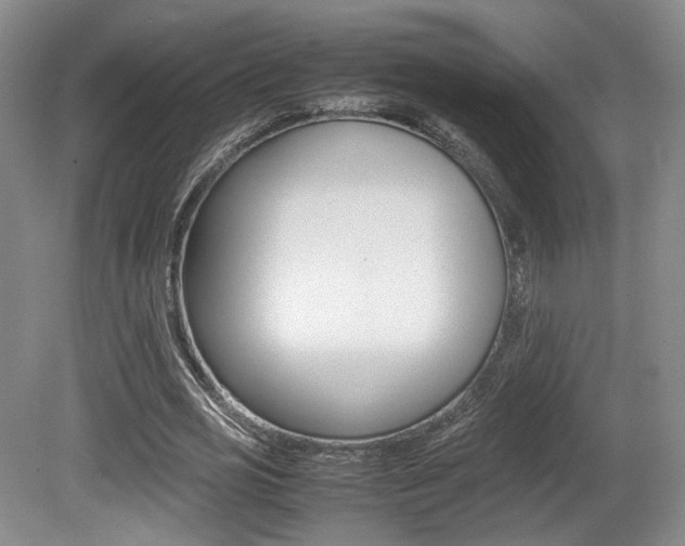 X0000080780725200612151031