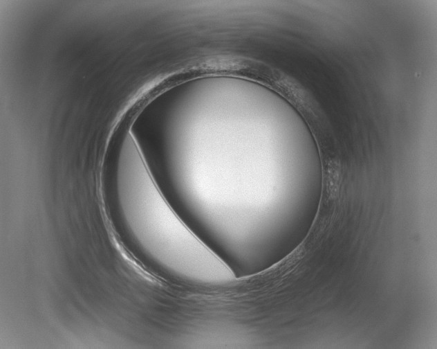 X0000080780726200612151031