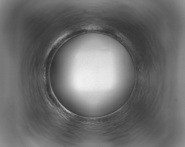 X0000080780727200612151031