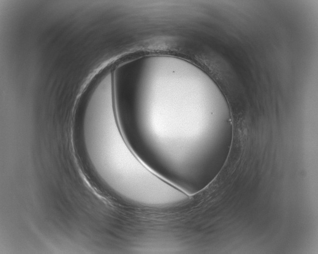 X0000080780728200612151031