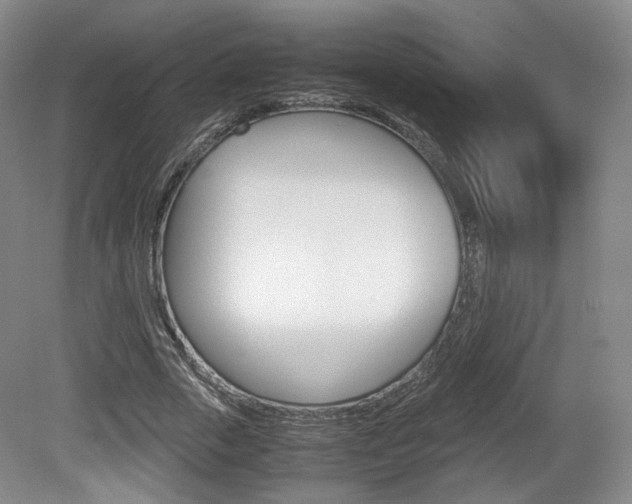 X0000080780729200612151031