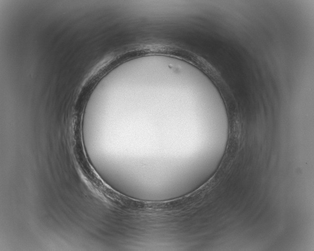 X0000080780730200612151031