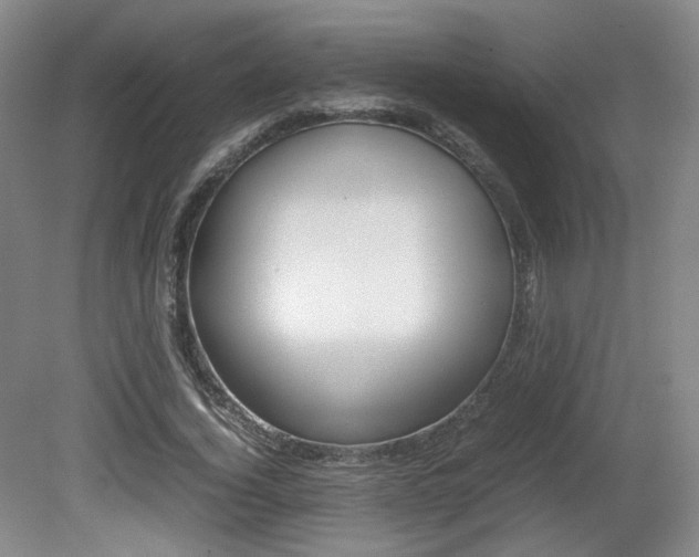X0000080780732200612151031