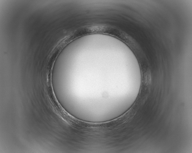 X0000080780733200612151031
