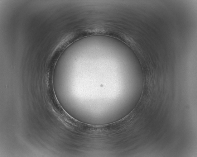 X0000080780735200612151031