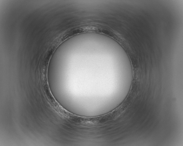 X0000080780737200612151031