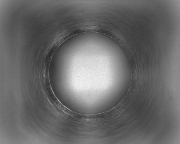 X0000080780739200612151031