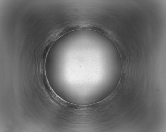 X0000080780740200612151031